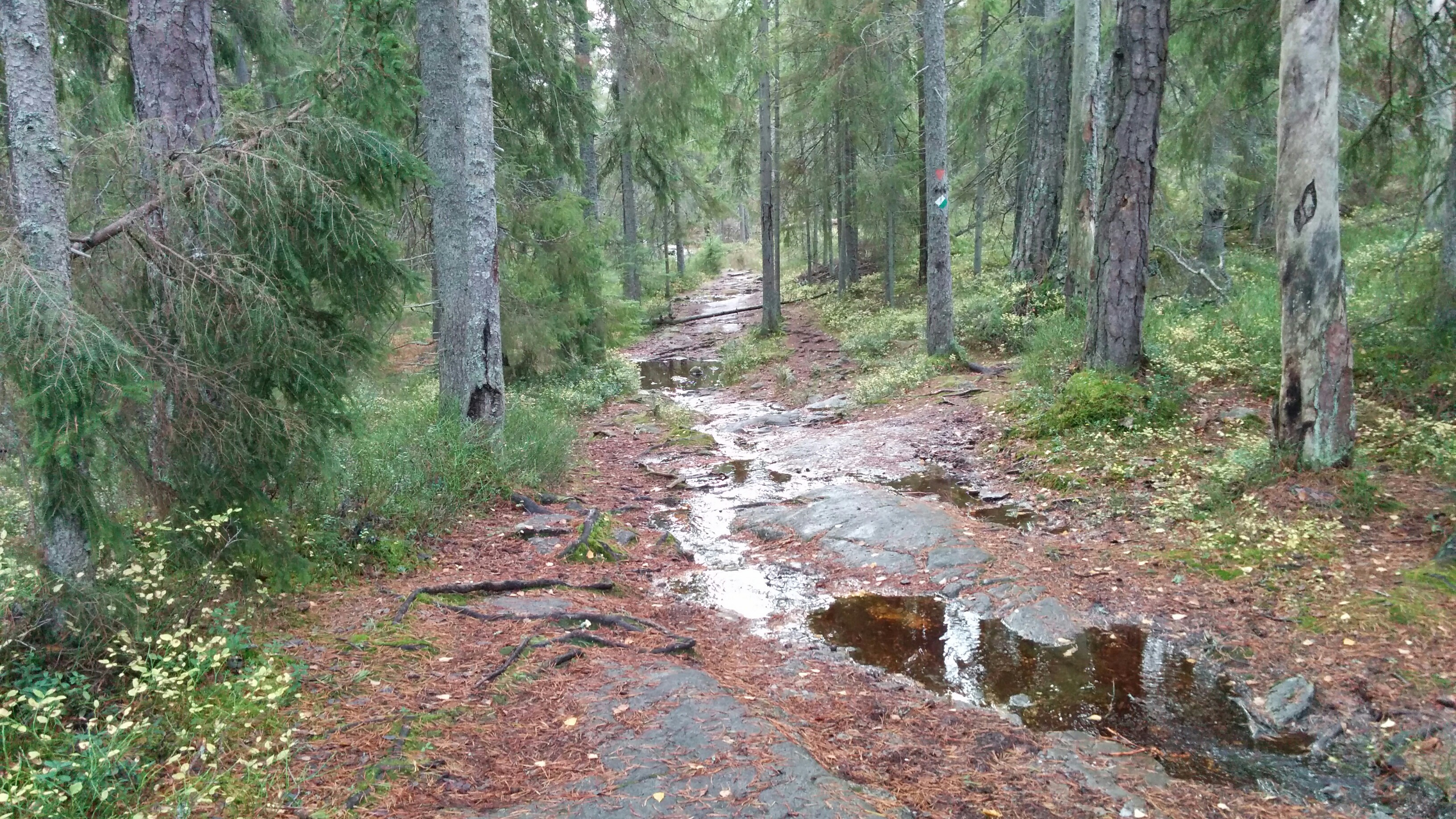 Trail.se